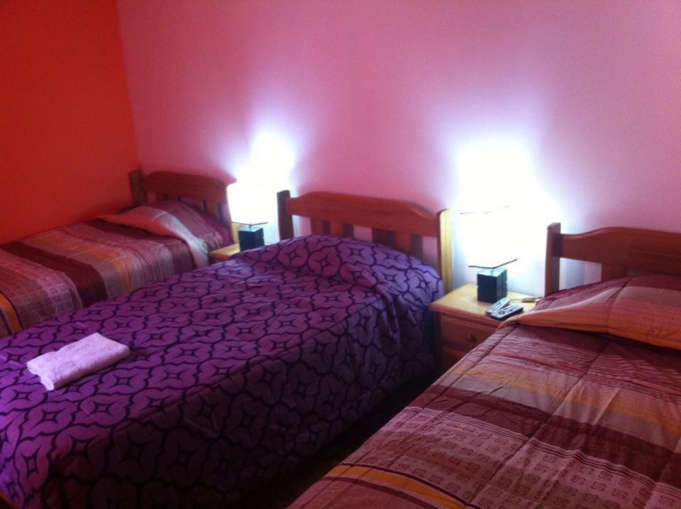 Hostal Luren Nazca Rum bild